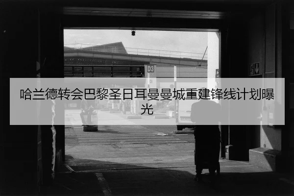 ha-lan-de-zhuan-hui-ba-li-sheng-ri-er-man-man-cheng-chong-jian-feng-xian-ji-hua-bao-guang-2-770.jpg